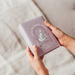 Álbúm de Fotografias Aristogatos